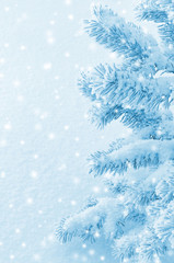 Winter background with snow-covered tree