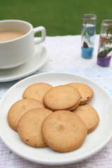 Morning tea outdoor with biscuits