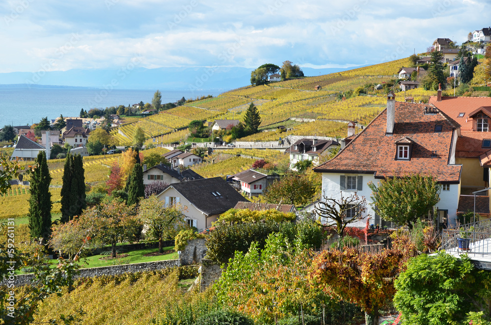 Wall mural Vineyards in Lavaux region, Switzerland