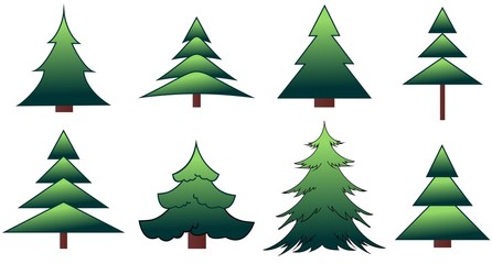 The set of the fir-trees and pines