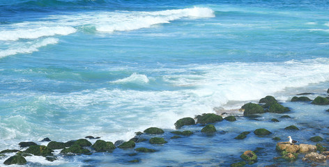 Seashore/view of the Seashore in Alexandria