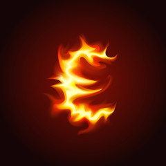 Euro sign of fire. Vector illustration.