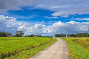 Dutch Road through Pastures