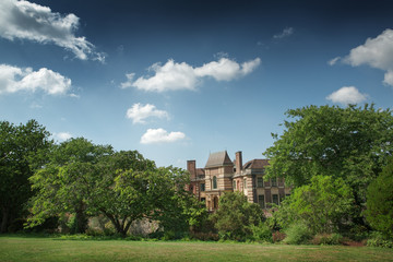 Fototapeta na wymiar Widok pałacu przez drzewa