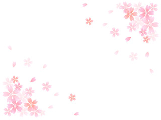 桜　さくら　背景