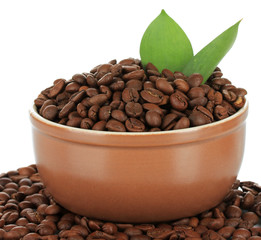 Coffee beans in bowl isolated on white