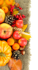 Beautiful autumn composition, isolated on white