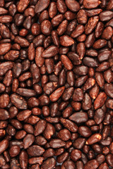 Sunflower grains in chocolate, close up