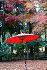 Fototapeta na wymiar Japanese umbrella for tea ceremony-3