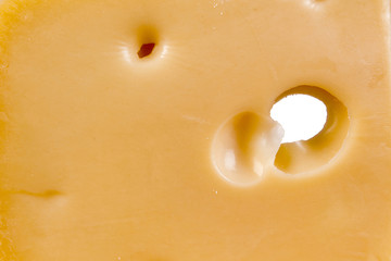 Cheese background
