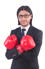 Businessman with boxing gloves on white