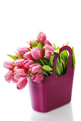 Pink tulips