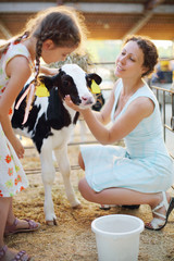 Little girl and her mother caress calf at cow farm at sunny day.