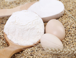 Close up of wheat grains and flour.