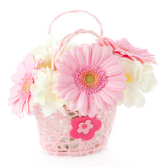PInk gerberas in pink basket on white background