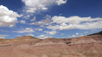Fototapeta premium malowana pustynia w Arizonie