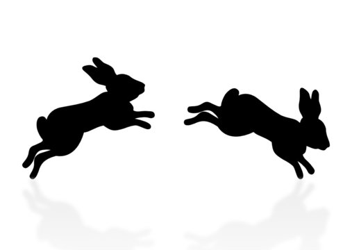 springende Hasen - jumping bunny