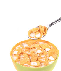 Bowl of cereal with milk.