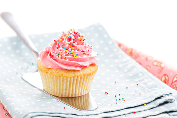 Cupcake with frosting and sprinkles