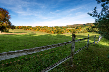 Wooden fence on nice green meadow - 59284195