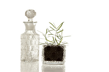 Crystal glass bottle and plant