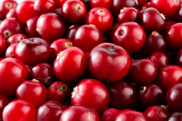 Red ripe cranberries macro. Food background