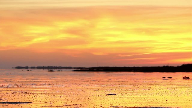 Sunset in Ria Formosa conservation park