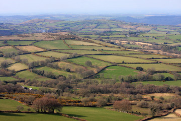 Naklejka premium Dartmoor