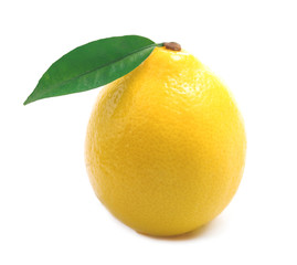 Ripe lemon isolated.