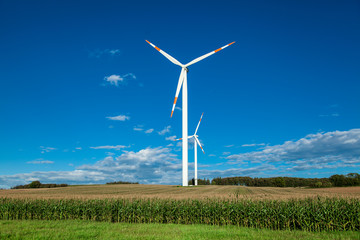 Fototapeta premium Windpark on green fields