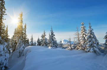 Winter day in the mountains