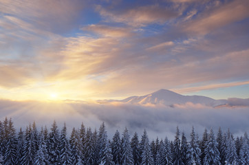 Dawn in mountains