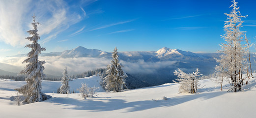 Panorama of winter in the mountains