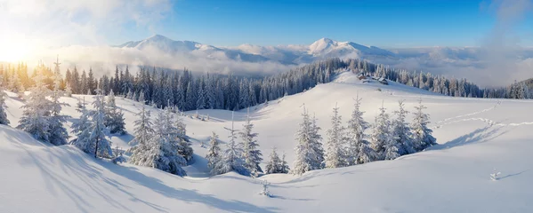 Papier Peint photo Hiver Panorama des montagnes d& 39 hiver