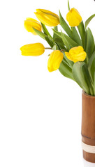 Spring bouquet of yellow tulips isolated on the white background