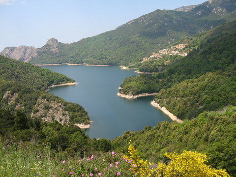 Corse - Lac de Folla