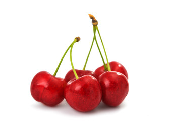 cherries isolated