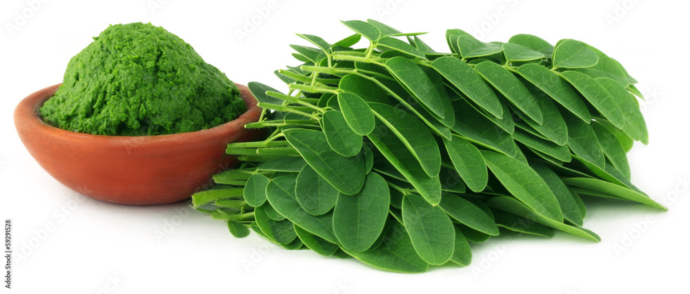 Canvas Prints moringa leaves with paste