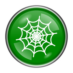 Spider web icon