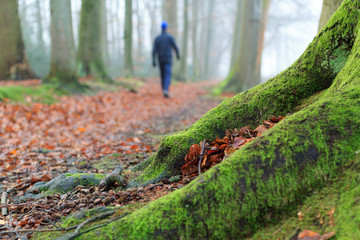 Autumn hike