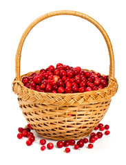 Fototapeta na wymiar cowberries in a basket