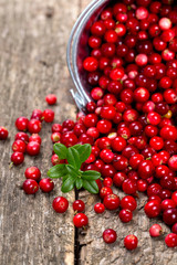 cowberrie in a bucket on wooden surface