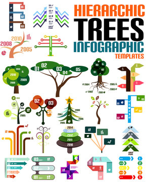 Hierarchic tree infographic templates set