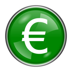 Euro icon