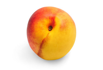 Nectarine
