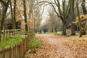 Obraz premium holland park london autumn woodland park and trees