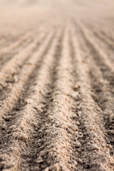 Furrows in a field after plowing it.