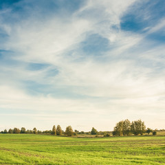 Green field and blue sky