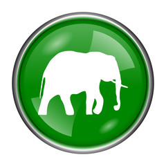 Elephant icon