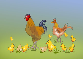 familie huhn